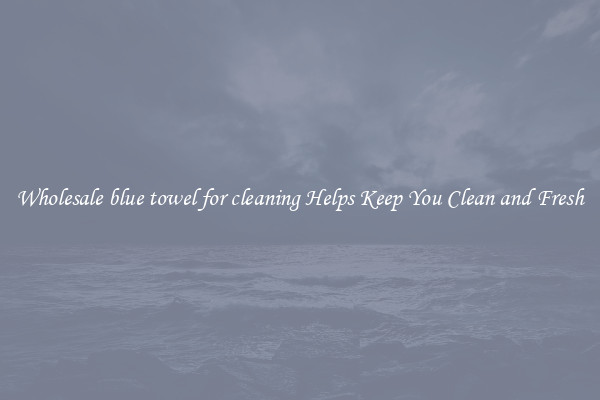 Wholesale blue towel for cleaning Helps Keep You Clean and Fresh