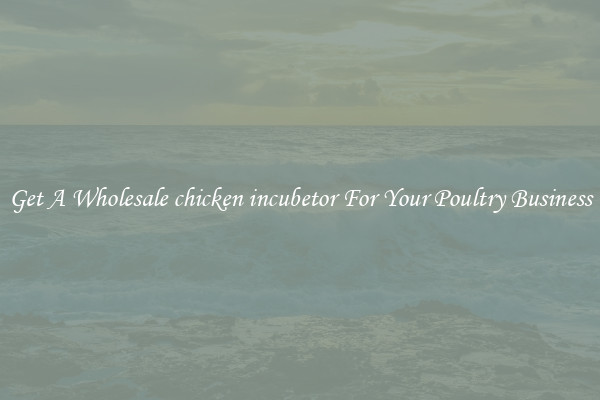 Get A Wholesale chicken incubetor For Your Poultry Business