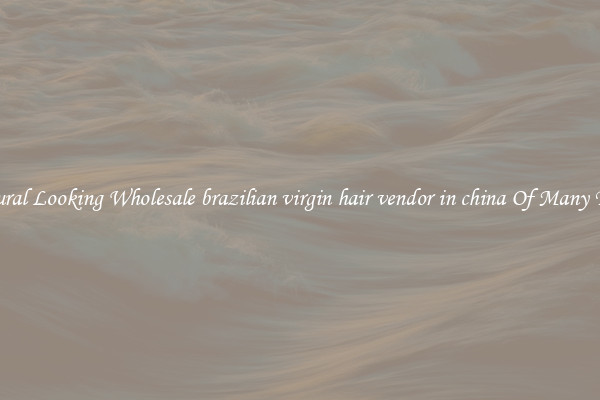 Natural Looking Wholesale brazilian virgin hair vendor in china Of Many Types