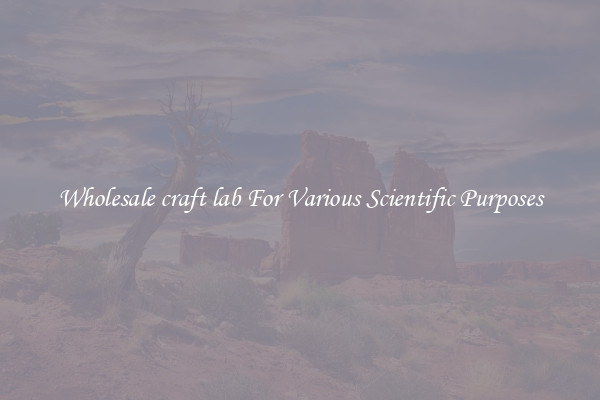 Wholesale craft lab For Various Scientific Purposes