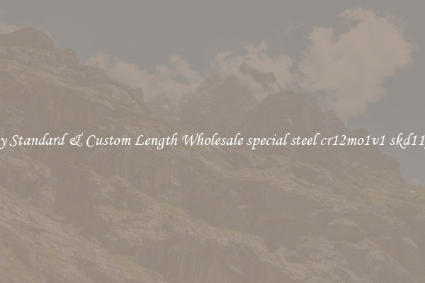 Buy Standard & Custom Length Wholesale special steel cr12mo1v1 skd11/d2