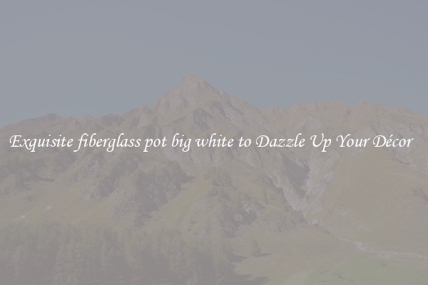 Exquisite fiberglass pot big white to Dazzle Up Your Décor  