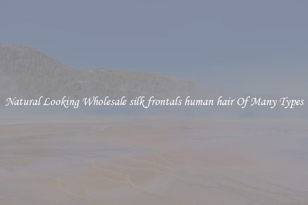 Natural Looking Wholesale silk frontals human hair Of Many Types