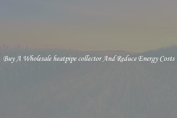 Buy A Wholesale heatpipe collector And Reduce Energy Costs