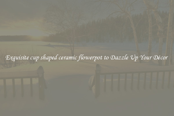 Exquisite cup shaped ceramic flowerpot to Dazzle Up Your Décor 