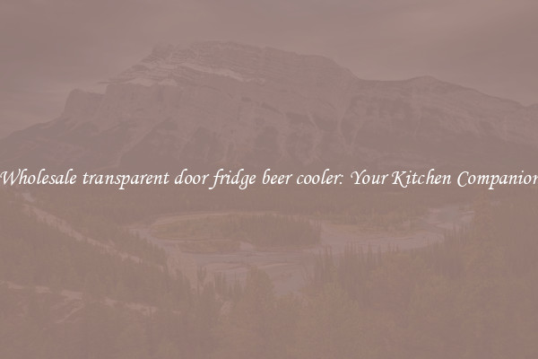 Wholesale transparent door fridge beer cooler: Your Kitchen Companion