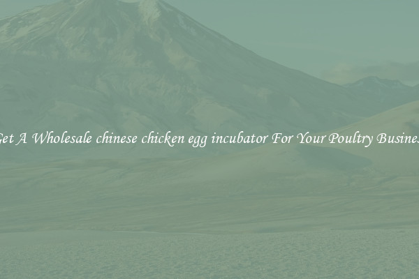 Get A Wholesale chinese chicken egg incubator For Your Poultry Business
