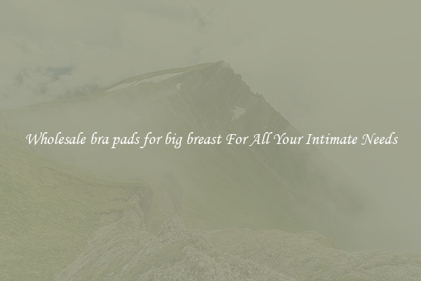 Wholesale bra pads for big breast For All Your Intimate Needs