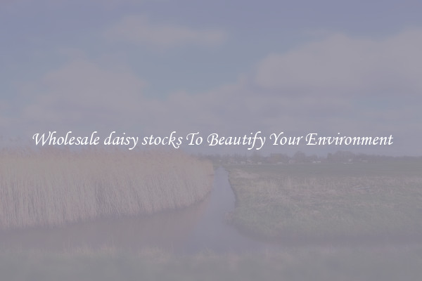Wholesale daisy stocks To Beautify Your Environment