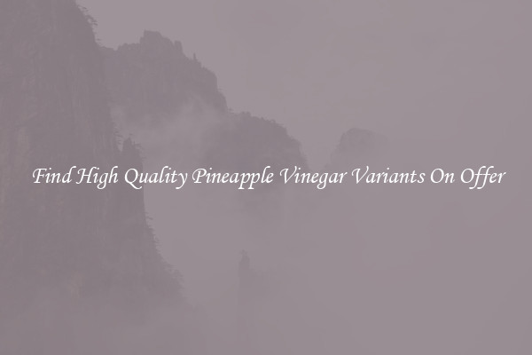 Find High Quality Pineapple Vinegar Variants On Offer