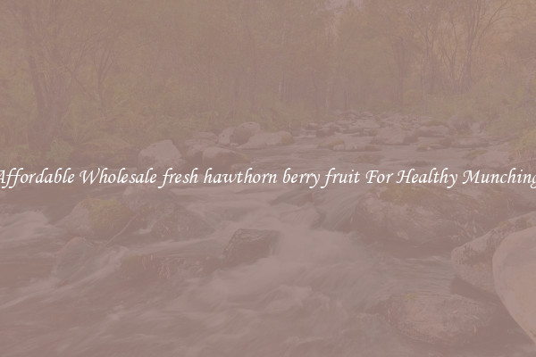 Affordable Wholesale fresh hawthorn berry fruit For Healthy Munching 