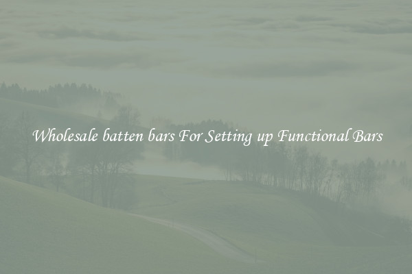 Wholesale batten bars For Setting up Functional Bars